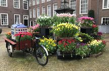 Keukenhof 2025 Private Floral Tour