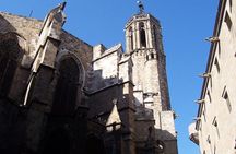 Picasso Museum & Private Walking Tour of Born or Gothic Quarter