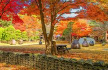 Easy private tour to Nami Island, Garden of Morning Calm 