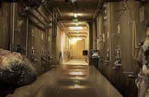 Renacer Winery Experience