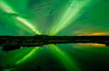 Whale Watching and Northern Lights Half-Day Combo Tour
