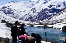 Private tour Geiranger and Glaciers 1 to 15 people