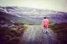 Private tour Geiranger and Glaciers 1 to 15 people