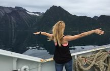 Private tour Geiranger and Glaciers 1 to 15 people