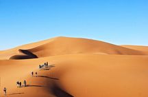 Day Trip to Erg Chigaga Dunes from Zagora 