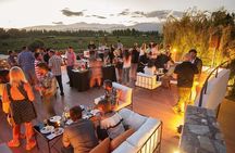 Mendoza Wine Route A Full Day Private Excursion