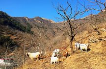Private Great Wall Hiking Tour: Across The Border of 3 China Provinces