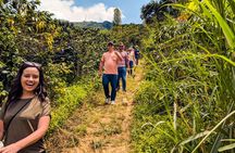 Half-Day Coffee Tour in Medellín: From the Seed to the Cup