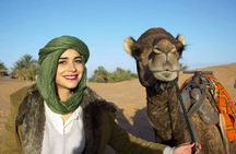 Merzouga Camel ride & Quad Bike 