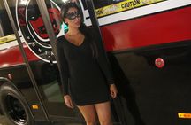 Bachelorette Party in Punta Cana Party Bus