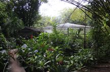 Private tour of magical waterfalls huatulco HT