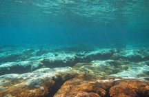 Private. Snorkeling Experience from Huatulco HT