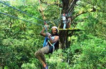 Canopy Las Pavas Regular