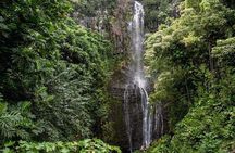 Private Hana Waterfalls Tour