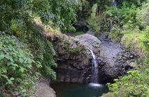 Private Hana Waterfalls Tour