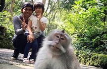 Best Of Ubud Tours