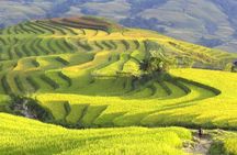 3-Night Sapa Trek and Homestay with Round Trip Transfer from Hanoi