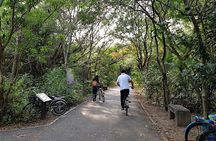 Lost in Bangkok : Green Lung Jungle Bicycle Ride with Lunch