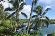 Private Road to Hana Tour