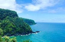 Private Road to Hana Tour