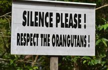  3 Days Deluxe Cabin Houseboat Orangutan Tanjung Puting