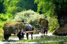 Mai Chau Private Day Tour: Hiking & Biking in Pristine Landscapes
