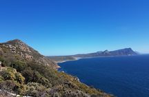 Private Cape Peninsula Tour - Cape Point, Cape of Good Hope sightseeing