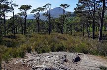 Alternative Loch Ness Tour by Secret Highlands