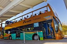 Visit to Itaipu: Entrance Ticket for Panoramic View and shuttle