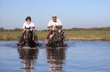 Shore Excursion:Small Group Estancia Tour to San Antonio de Areco