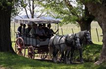 Shore Excursion:Small Group Estancia Tour to San Antonio de Areco