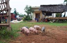 Private Siem Reap Quad Bike Adventure