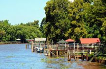Shore Excursion: Small Group Tigre Delta Tour from Buenos Aires