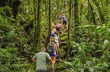 Arenal Volcano Hike Trail & Baldi Hot Springs From Arenal