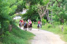 Horseback Riding, Beach with Palapa and Transfer