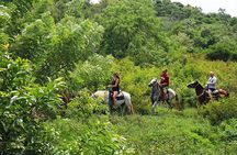 Horseback Riding, Beach with Palapa and Transfer