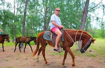 Horseback Riding, Beach with Palapa and Transfer