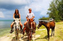 Horseback Riding, Beach with Palapa and Transfer