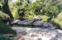 Private Tour: Beng Mealea Jungle Temple, Lolei and Bakong temple