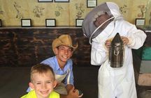 Experience Our Honey Farm And Beekeeping Tour