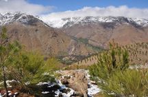 Day out with a Berber To High Atlas Mountains