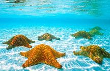 Cruise Ship Multiple Snorkeling, Snacks, Music & Private Vehicle