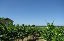 Wine Tasting, Vineyards in Eastern WA from Seattle