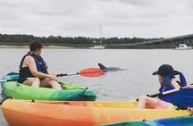 Hilton Head Guided Kayak Eco Tour
