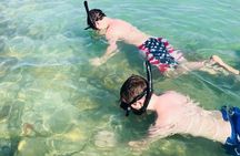 Small Group 2 Hour Dolphin Cruise with Snorkeling to Shell Key