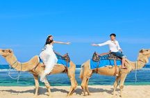 Camel Safari 30 minutes In White Sand Beach 