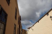 Round The Island Trip Without Teide VIP TOUR