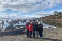 Punta Arenas and Magellan Strait Tour
