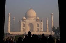 2-day Tajmahal & Fort tour with Tiger Safari from Hyderabad 