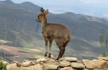 Cango Caves,Swartberg Pass,Prince Albert & Meiringspoort Daytrip
